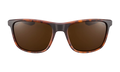 Essential Endeavor Sunglasses "Matte Tortoise / Brown" EV1122 202