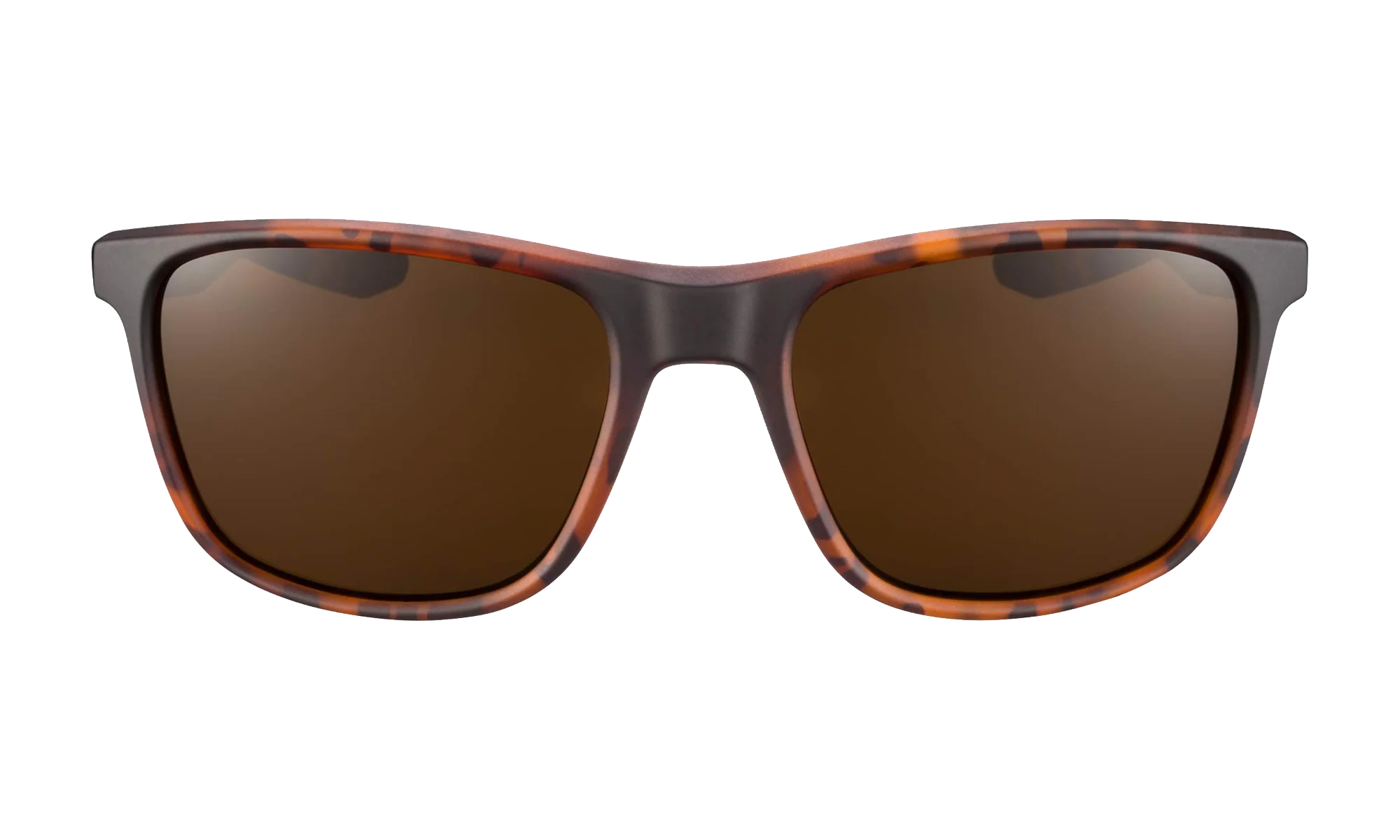 Essential Endeavor Sunglasses "Matte Tortoise / Brown" EV1122 202