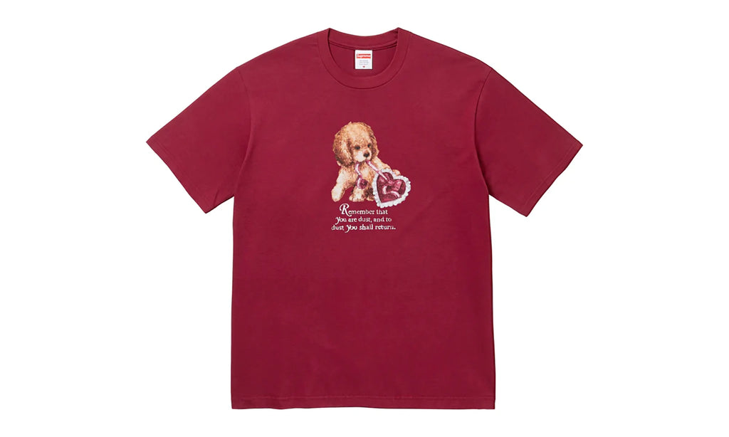 Dust Tee "FW25 - Cardinal" SU26816
