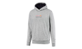 RED BULL RACING DYNAMIC BULL HOODIE "Gray" 596207 02