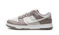 DUNK LOW WMNS"Moon Fossil" FD0792 001