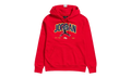 Jordan Jumpman Fleece Pullover Hoodie "University Red" DA7184 687
