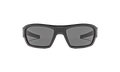 Force Sunglasses "Shiny Black / Gray" 8600086 000900