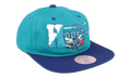 NBA Varsity Letter "Hornets" HMUS4791-CHOYYPPPTEAL_OS