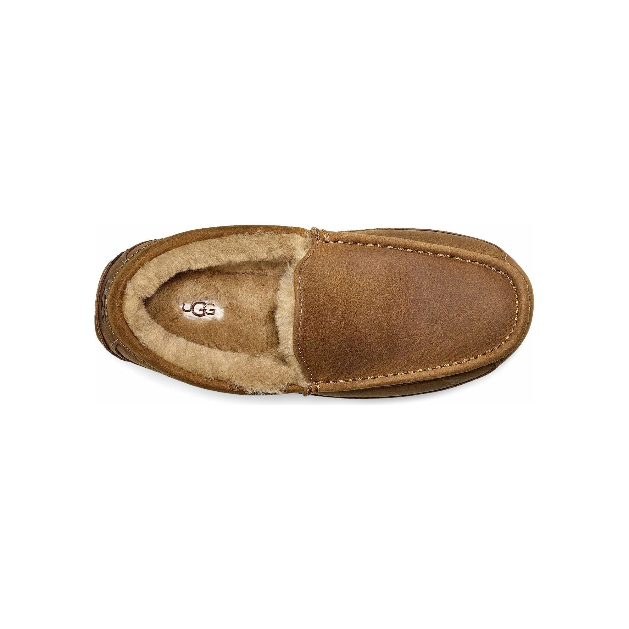 Men's Ascot Leather Slipper in Tan