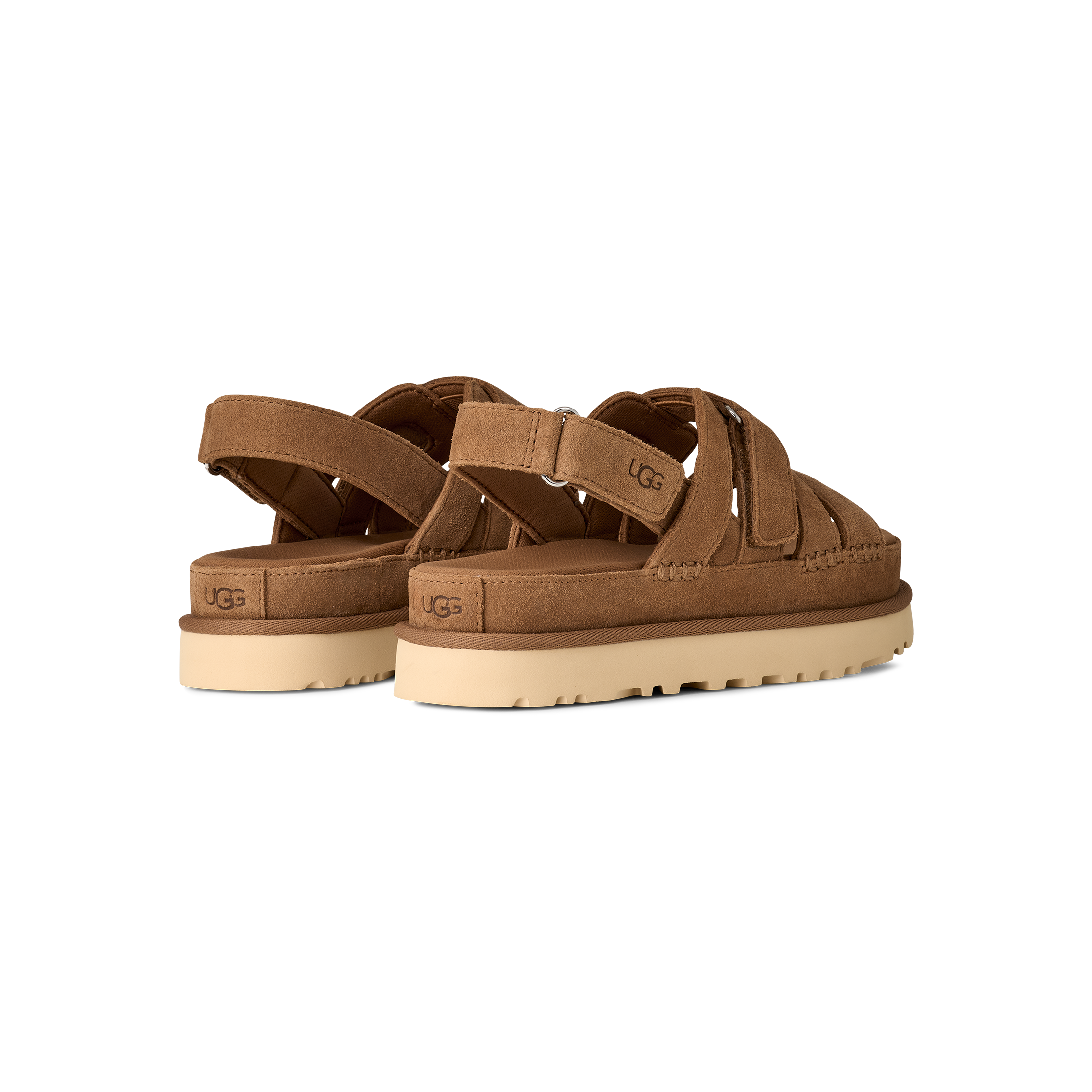 Women's Goldenstar Gleam in Chestnut