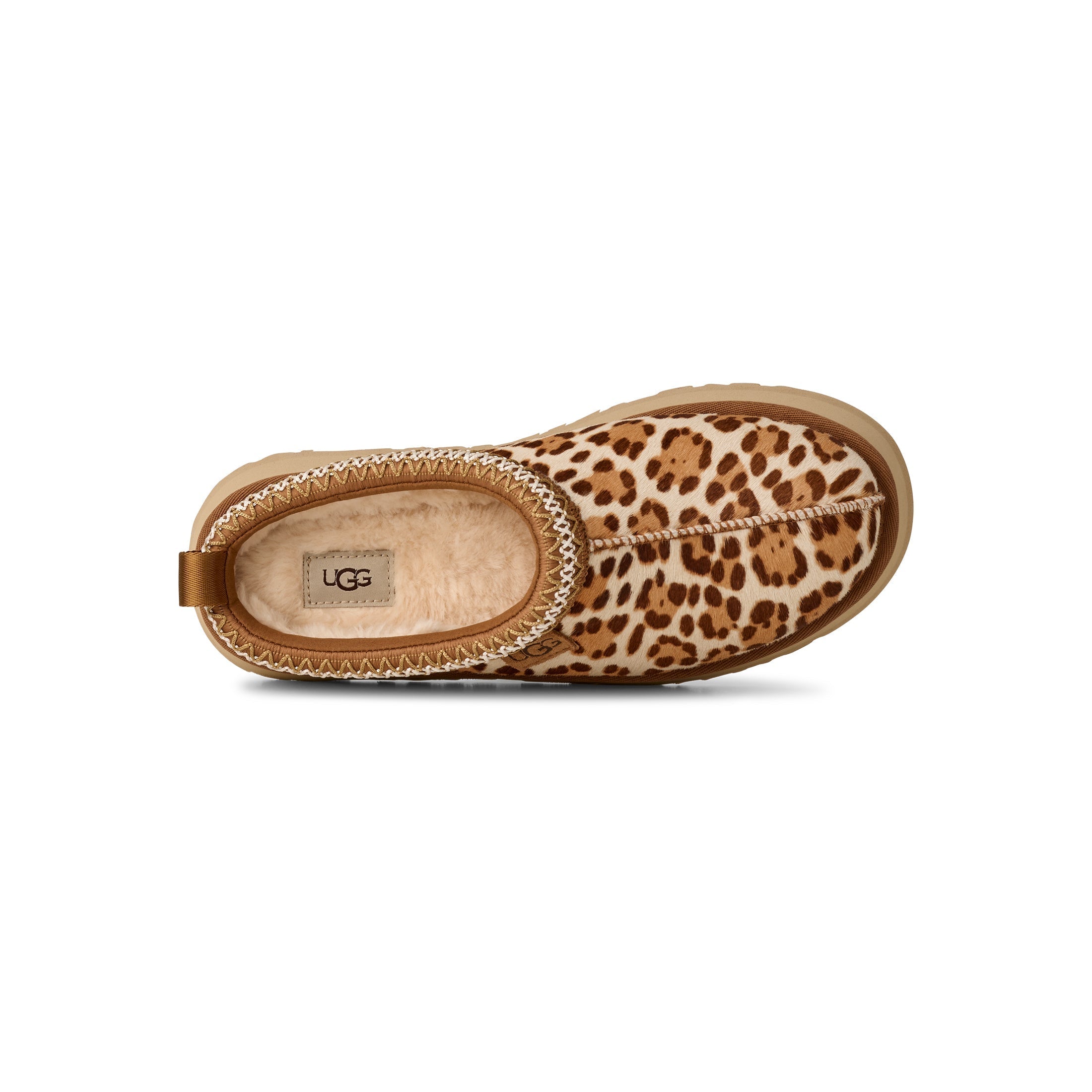 Women's Tazz Plains in Felicity Leopard Jasmine