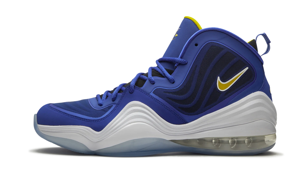 Air Penny 5 "Blue Chips" 537331 402