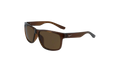 Cruiser Sunglasses "Transparent Oak Brown" EV0834 220