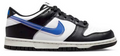 Dunk Low Next Nature TPU Swoosh (GS)
