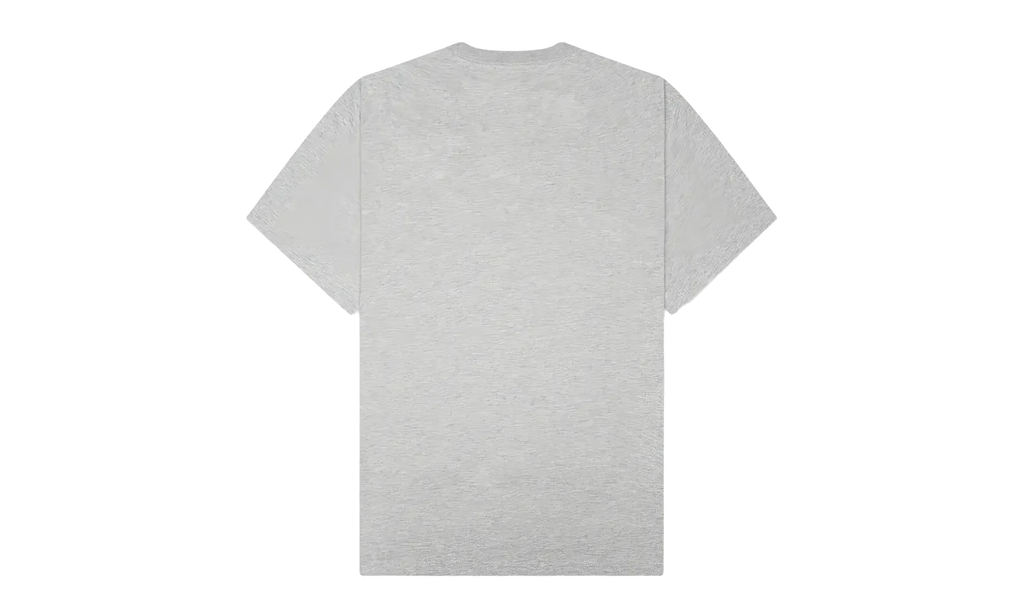 Stimulation SS Tee "Grey" P26SP066-HTR