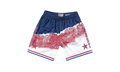 NBA Sublimated Swingman Shorts "2003 All-Star East - White" SMSHNG18425 ASEWHIT03