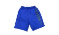 Air Jordan AJ11 Legacy Mesh Shorts "Germain Blue / Black" BQ0199 494