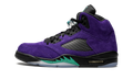 5 Retro "Alternate Grape" 136027 500