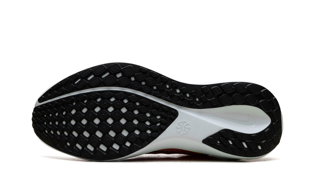 Air Zoom Pegasus 41 Wmns"Summit White" FD2723 100