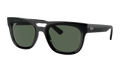 Phil Sunglasses "Black" RB4426-667771_54