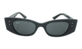Kat Sunglasses "Black" RB4427-667787_49