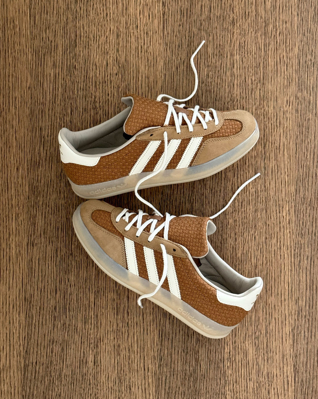 Gazelle Indoor