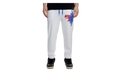 Air Jordan Jumpman Wings Classic Fleece Pants "White" BQ8470 100