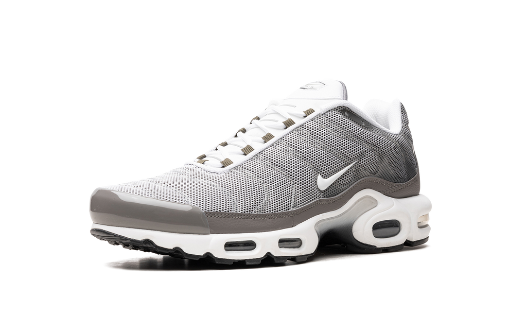Air Max Plus SE "Flat Pewter" DV7665 002