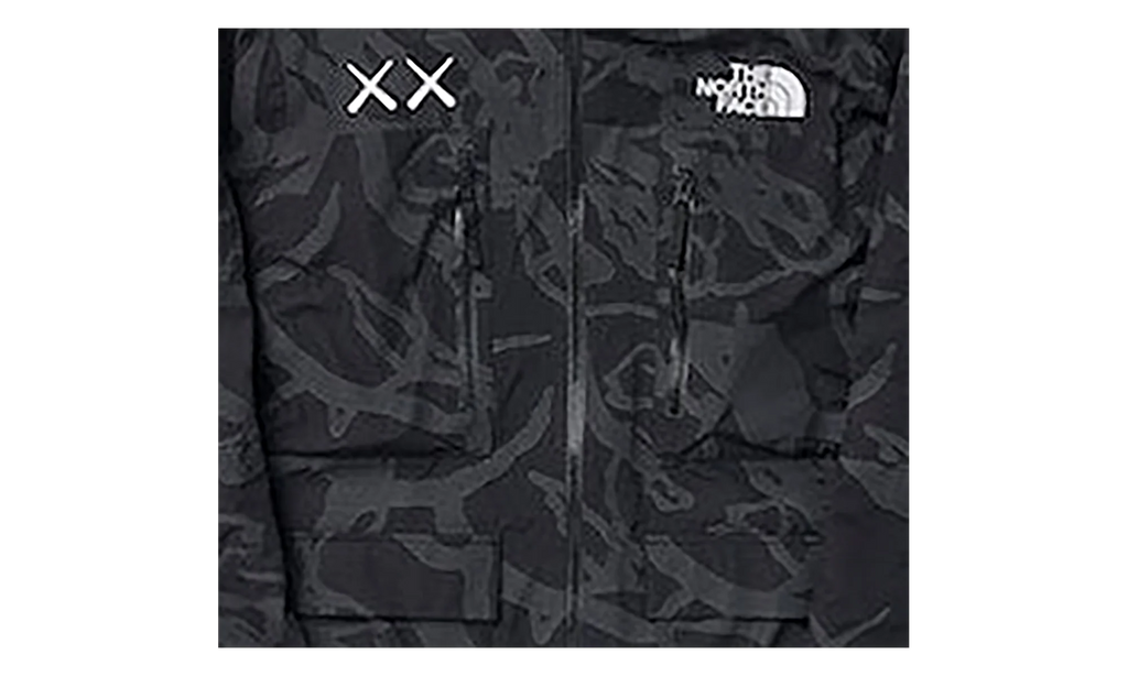 The North Face Freeride Jacket "TNF Black Dragline Print" KAWS202463