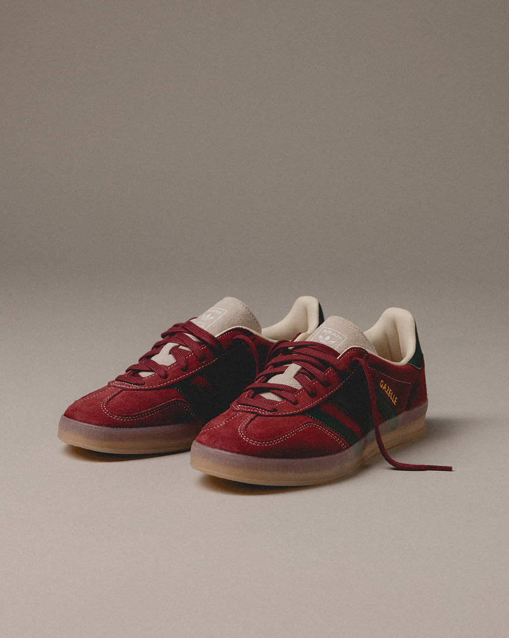 Gazelle Indoor