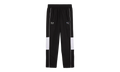 BMW MOTORSPORT SDS 2.0 BADGE PANTS "Puma Black" 630935 01