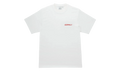 Ice Sculpture SS Tee "White" G6SU T118 WHT