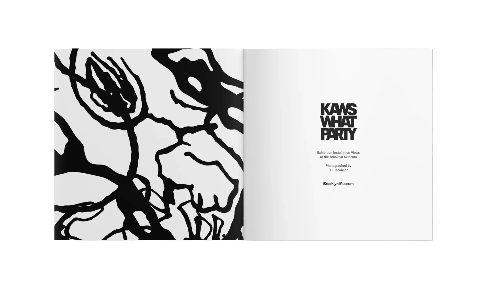 What Party Booklet "Pink Muticolor" KAWS202460