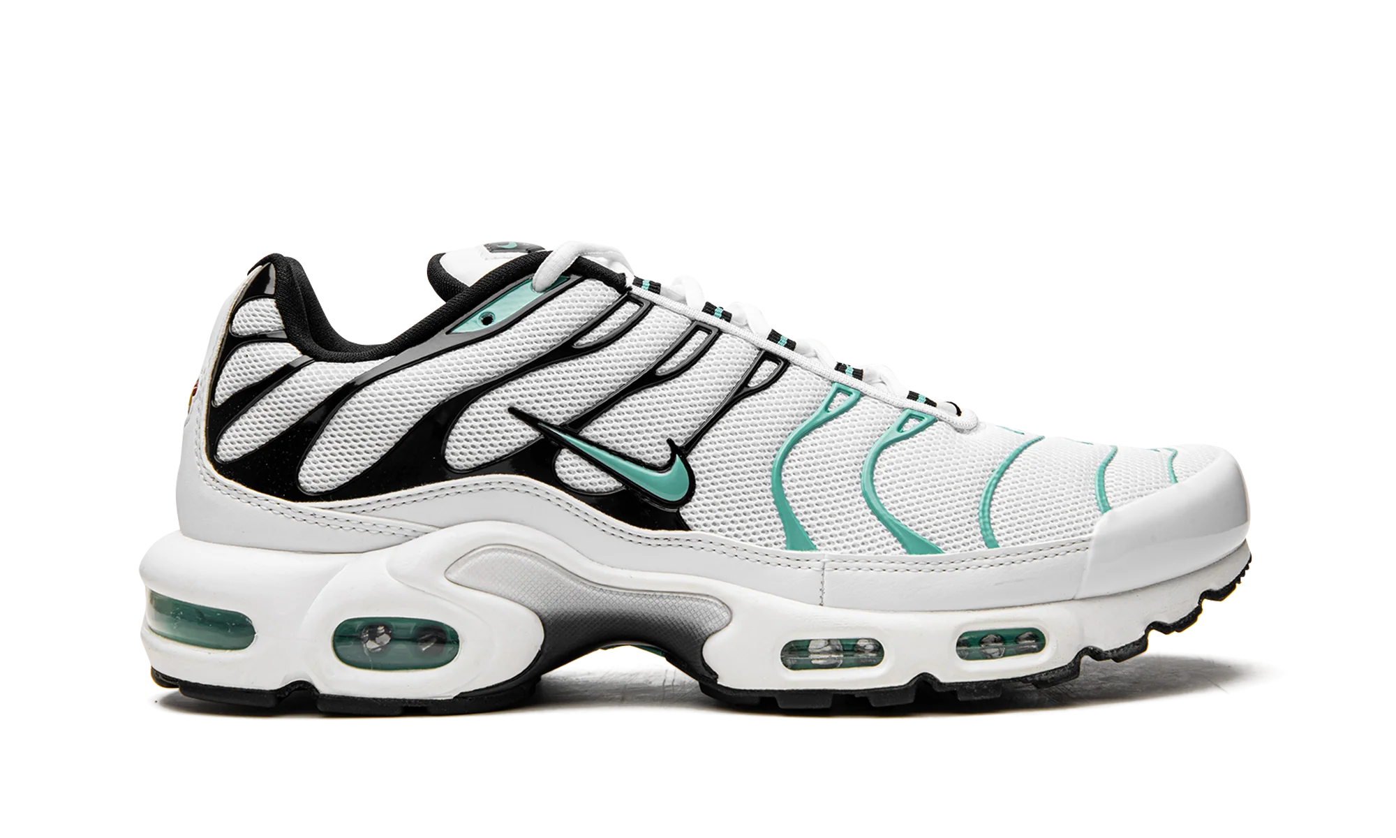 Air Max Plus "Atmos" 604133 148