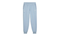 BMW MOTORSPORT ESS+ FLEECE PANTS "Blue" 627499 15