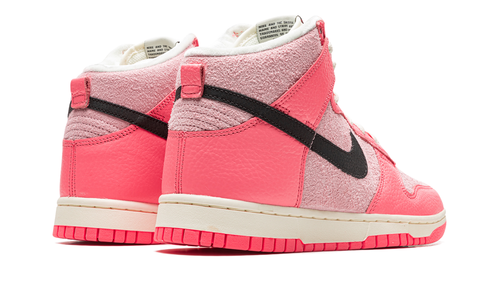 DUNK HIGH WMNS"Hoops Pack Pink" DX3359 600