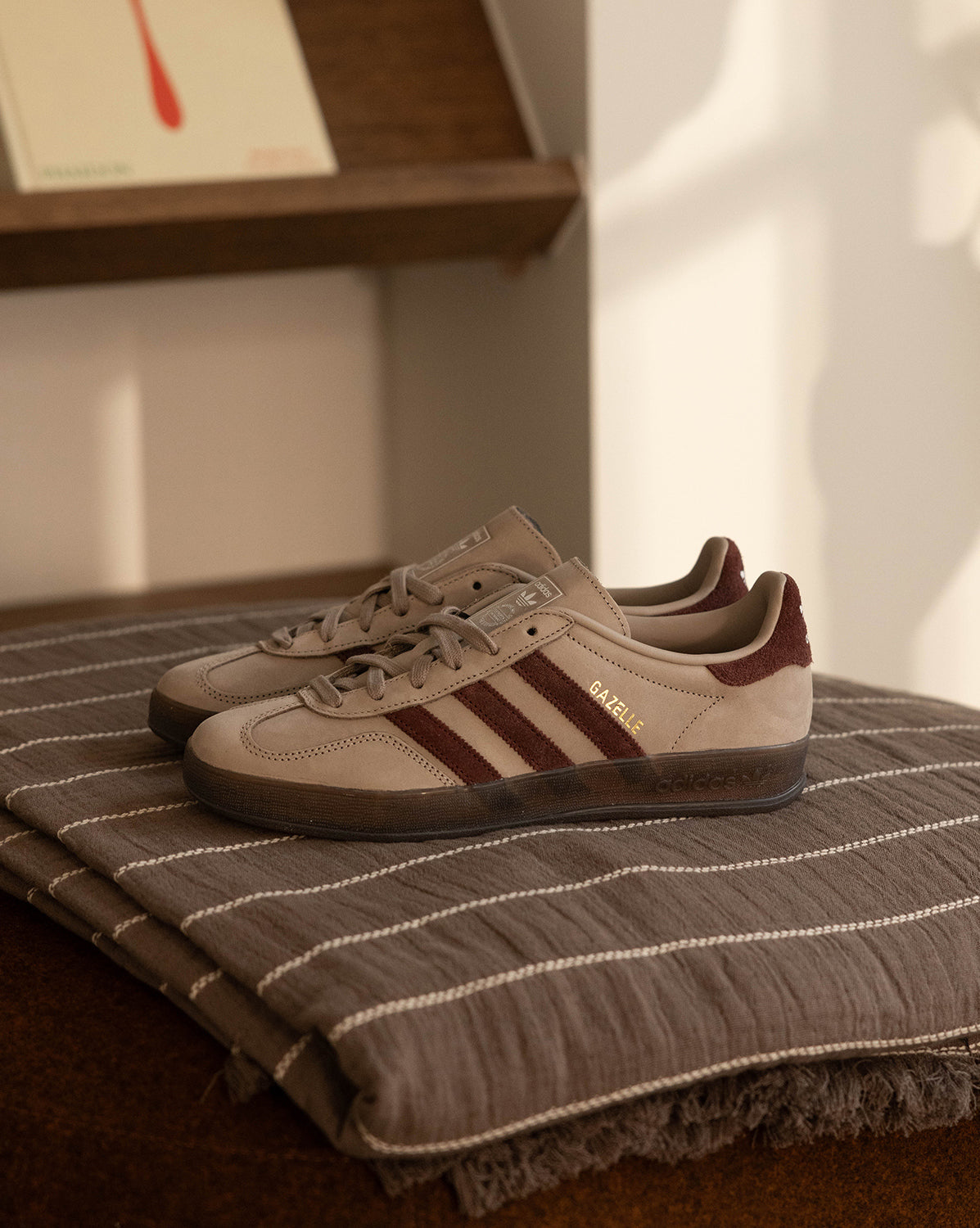 Gazelle Indoor