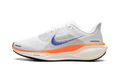 Air Zoom Pegasus 41 FP WMNS"Blueprint Pack" HF7362 900