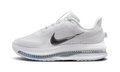 Pegasus Premium WMNS"White Metallic Silver" HQ2593 102