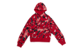 Jordan Artist Series by Parker Duncan Hoodie WMNS "Gym Red" DX0387 687