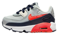 Air Max 90 Leather TD "Light Smoke Grey Bright Crimson" CD6868 021