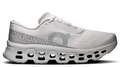 Running Cloudmonster 3 Wolf Wolf