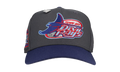 59FIFTY Tampa Bay Rays Tropicana Field Fitted Hat "Graphite / Navy" NE390