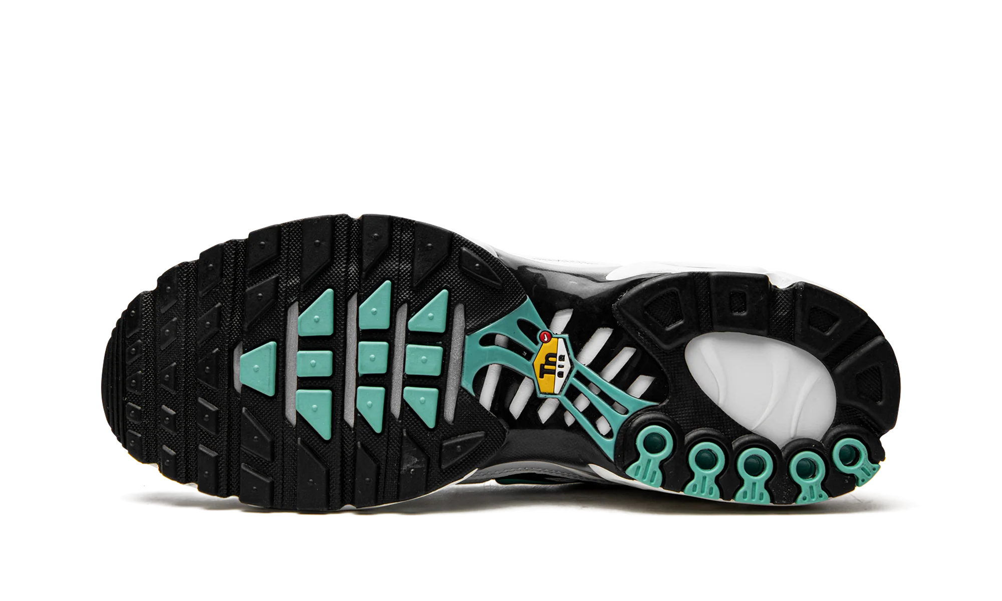 Air Max Plus "Atmos" 604133 148