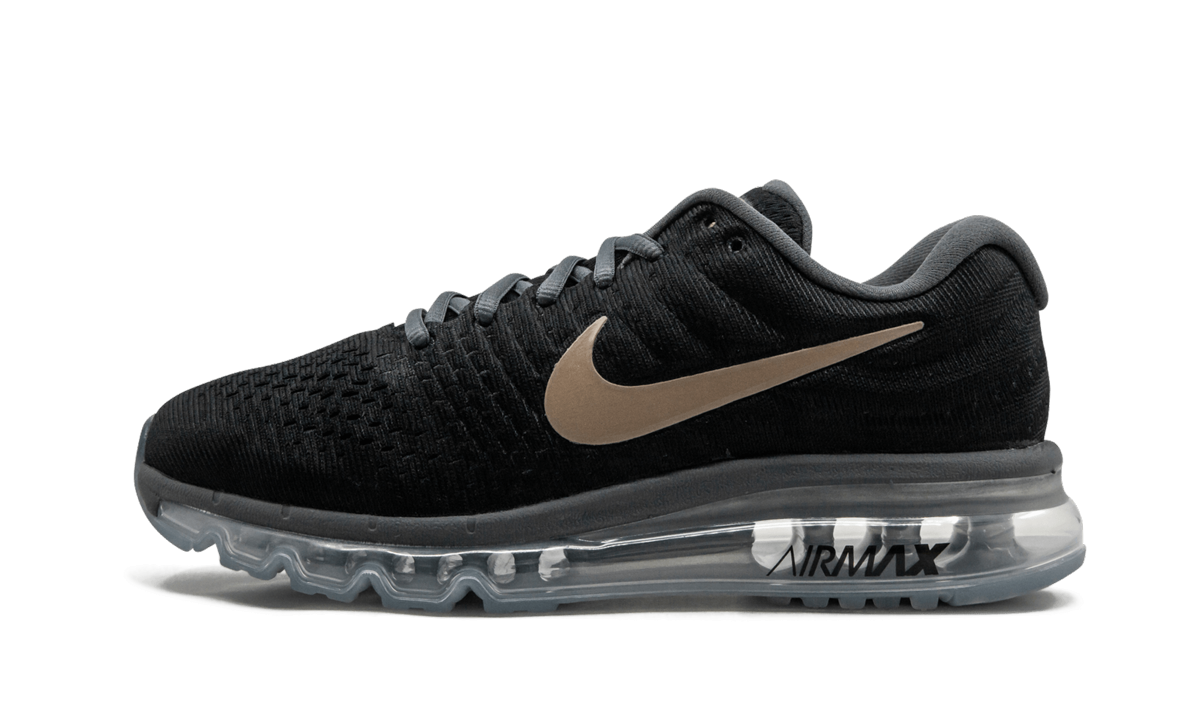 AIR MAX 2017 MNS WMNS "Bronze" 849560 008