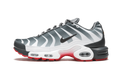 Air Max Plus TN SE AQ0237 100
