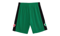 NBA Swingman Shorts "2007 Boston Celtics - Green" SMSHAC19182 BCEKYGN07
