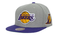 NBA Melt Stitch Snapback Cap "Los Angeles Lakers - Grey" HS9444 LALGREY