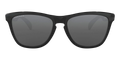 Frogskins Sunglasses "Polished Black / PRIZM Black" OO9013 C4