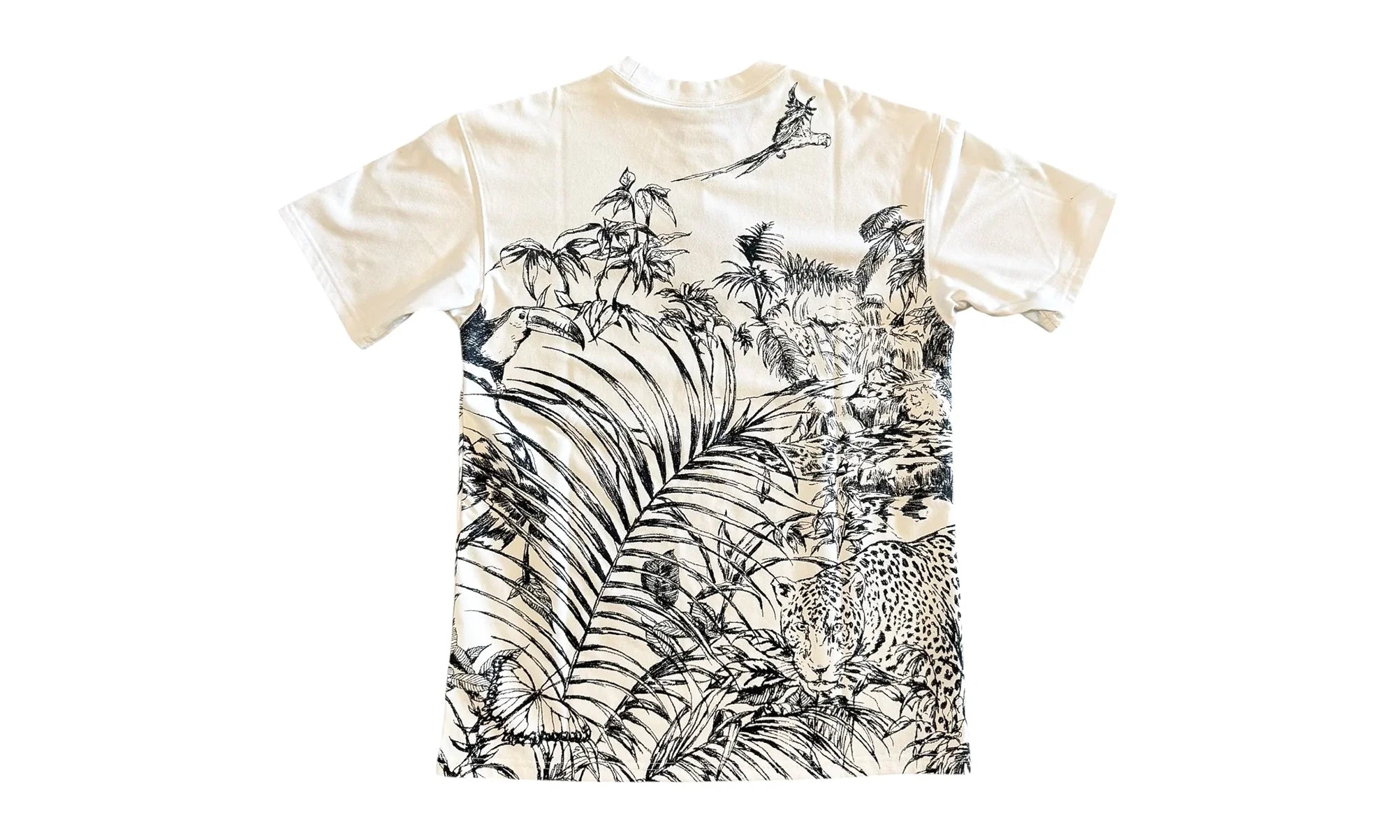ACG Dri‑FIT Jungle Graphic Tee "Summit White" HJ0882 121