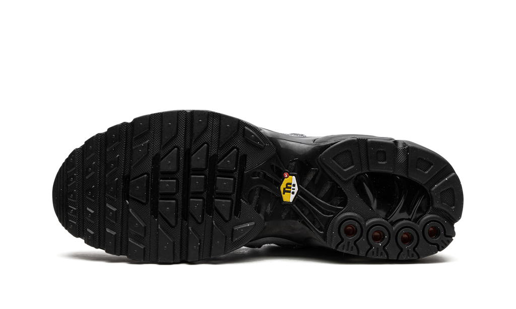 Air Max Plus "Bungee" FD0670 002