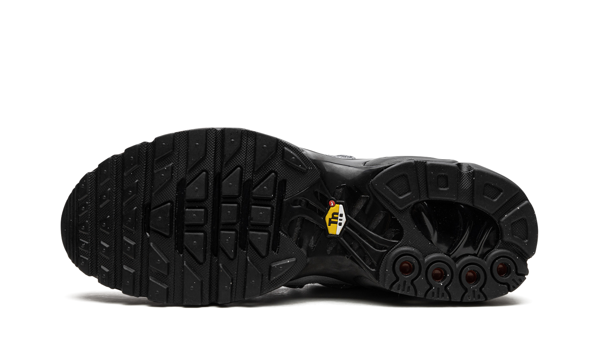 Air Max Plus "Bungee" FD0670 002