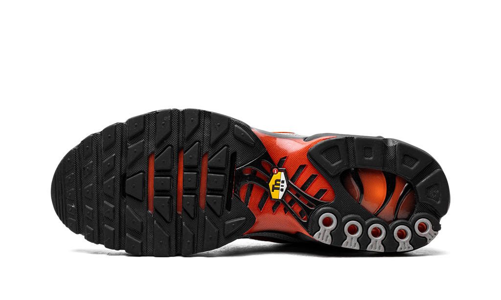 Air Max Plus "Wolf Grey Picante Red" DM0032 011