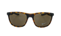 Essential Endeavor Sunglasses "Matte Tortoise" FQ4619 202